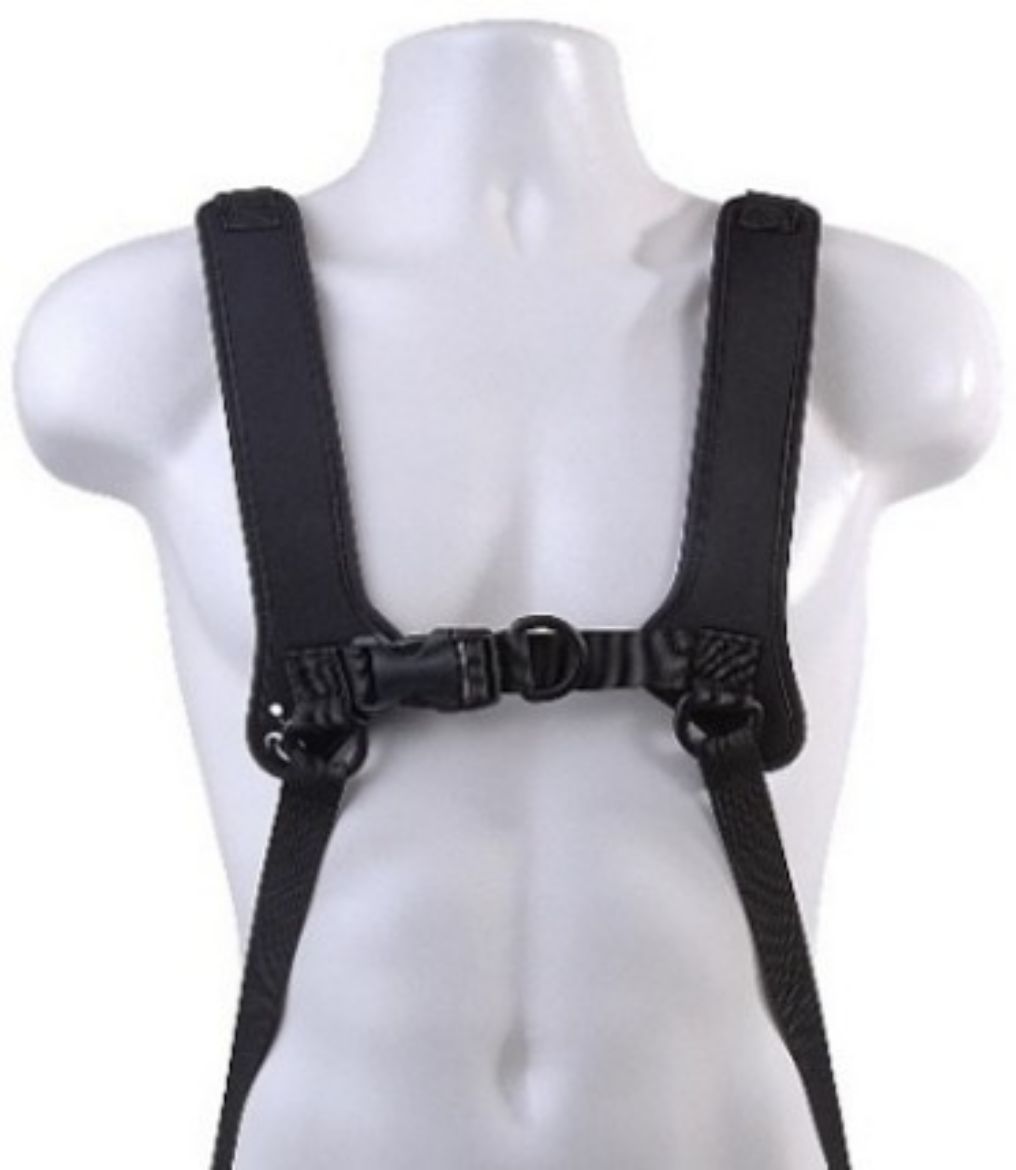 Picture of H-HARNESS, PULL DOWN, 1" WEBBING, SMALL